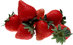 Fraises